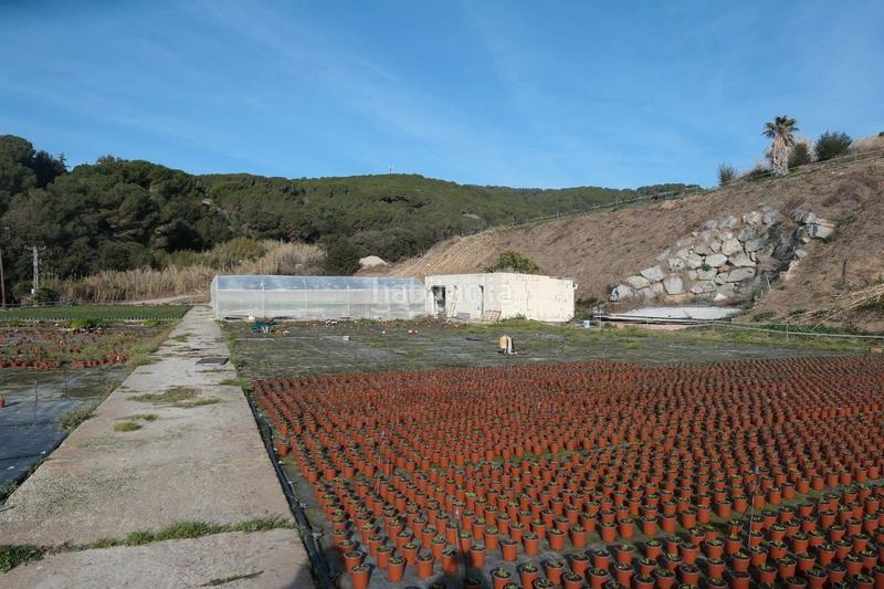 Foto 0ce3b9e9-ab06-4c77-8a76-37982741a5f6. Finca rústica en Canet de Mar