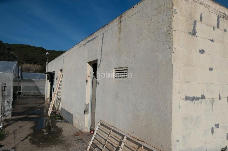 Foto 14eba039-31a4-4f6d-b8f7-e9c41b8f9af8. Finca rústica en Canet de Mar