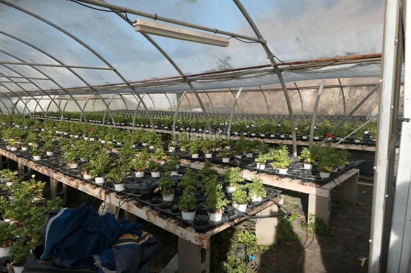 Foto 23731ae0-24d7-4e3c-941f-ea592686853a. Finca rústica en Canet de Mar