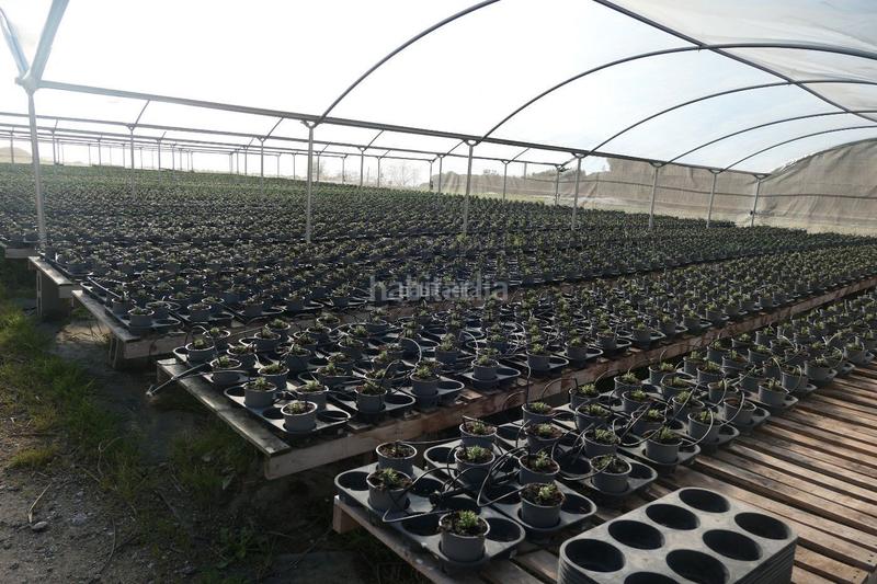 Foto 39cd0d58-6072-4280-be17-3e9c3ceb4c62. Finca rústica en Canet de Mar