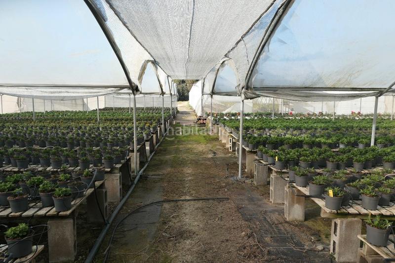 Foto 4e9a0542-a326-4dc2-959d-169ed560d4f6. Finca rústica en Canet de Mar