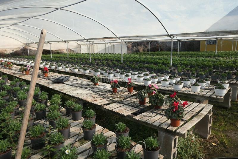 Foto 5c026b85-b926-417d-9c9e-95d490c5c209. Finca rústica en Canet de Mar