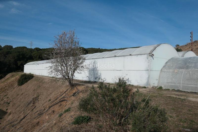 Foto 7bf9aab6-e51b-420e-bbe8-f8c3c1b30232. Finca rústica en Canet de Mar