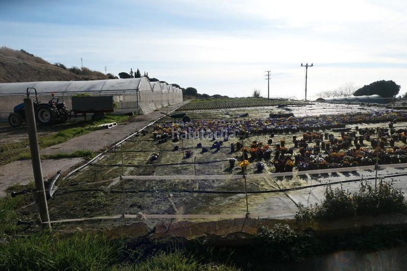 Foto 8254b26b-ecab-4af5-967d-d8829ad09e3f. Finca rústica en Canet de Mar