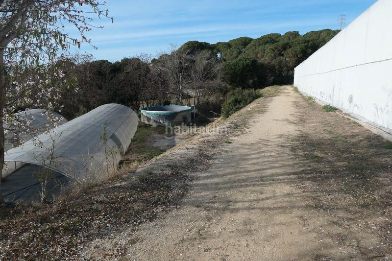 Foto 86ba1186-19c2-46df-aa55-b2fbda5fd73a. Finca rústica en Canet de Mar