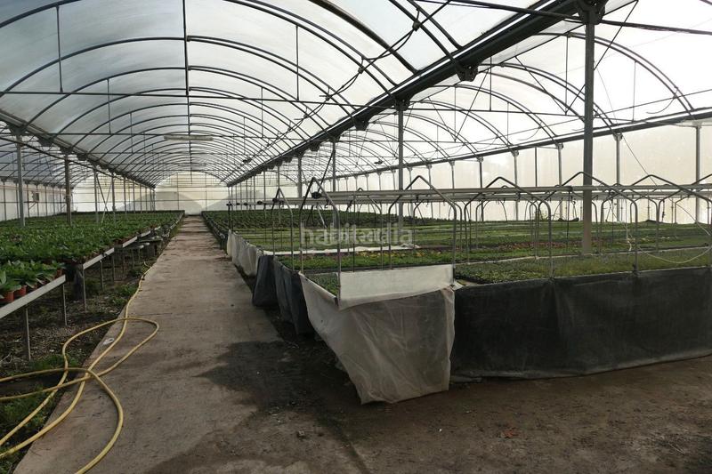 Foto a3453811-baf1-4062-81be-7bcacbda680e. Finca rústica en Canet de Mar