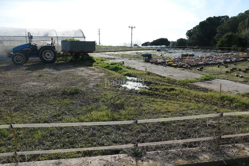 Foto e50abaaa-271f-4f4e-afe3-eb6eddc23b12. Finca rústica en Canet de Mar