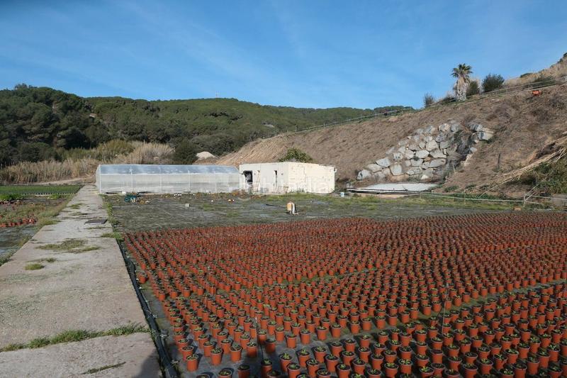 Foto e537087f-e2ef-4537-ab95-f94d399e6c50. Finca rústica en Canet de Mar