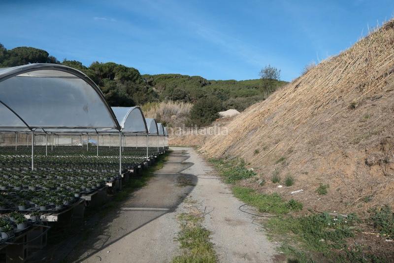 Foto f90cfcc4-8a69-4e16-8b00-a262875e7fdc. Finca rústica en Canet de Mar