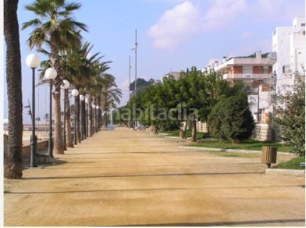 Foto 646c990c-de2d-4717-9f53-49aa80ed2769. Pis a Canet de Mar