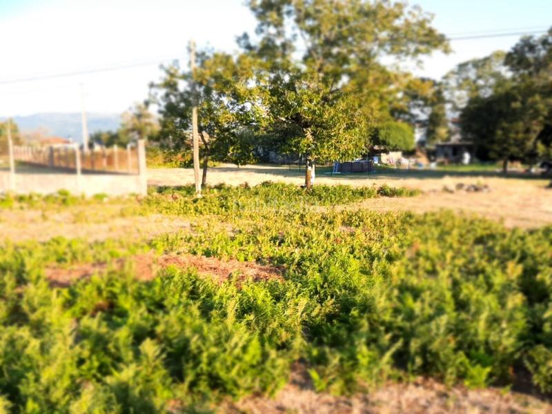 Foto 01d06a97-8785-4a6f-b2f5-688a0f3dd392. Casa a Coles