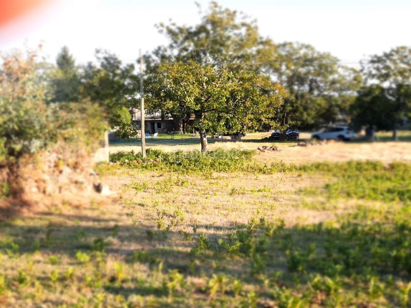 Foto 1e1acdd0-185b-48f9-8e45-69f11e3c8f3e. Casa a Coles