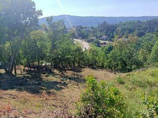 Residential Plot in San Rosendo. Descubre la finca ramiras y vive tus sueños!