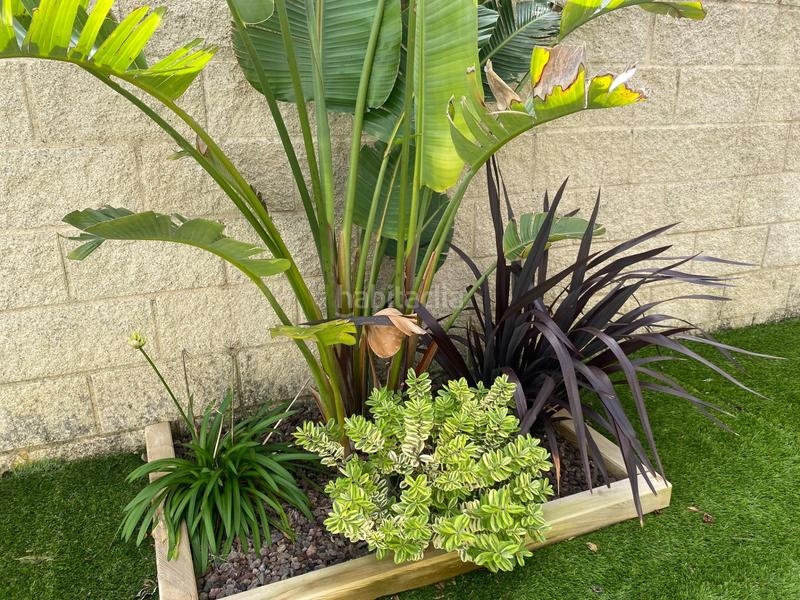 Foto 94a4dfd7-1709-44c4-8bb3-e544ecb95eeb. Appartement avec chauffage piscine dans Arealonga Vilagarcía de Arousa