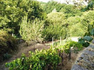 Chalet en Pereiro de Aguiar (O). Chalet tibias