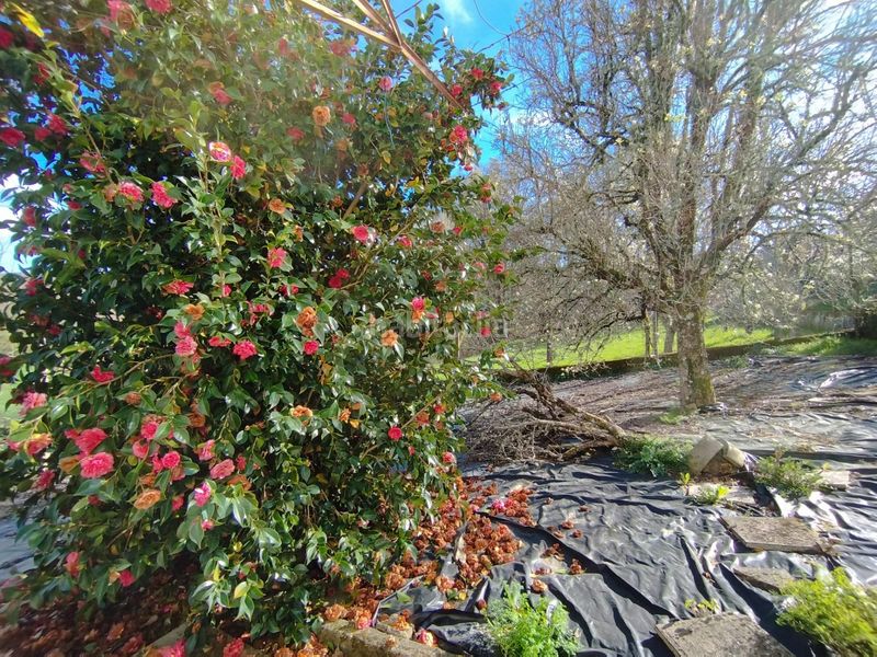 Foto cdcd789c-de6d-48d4-9e28-26ef56aa5c6e. Casa amb aparcament a Muíños