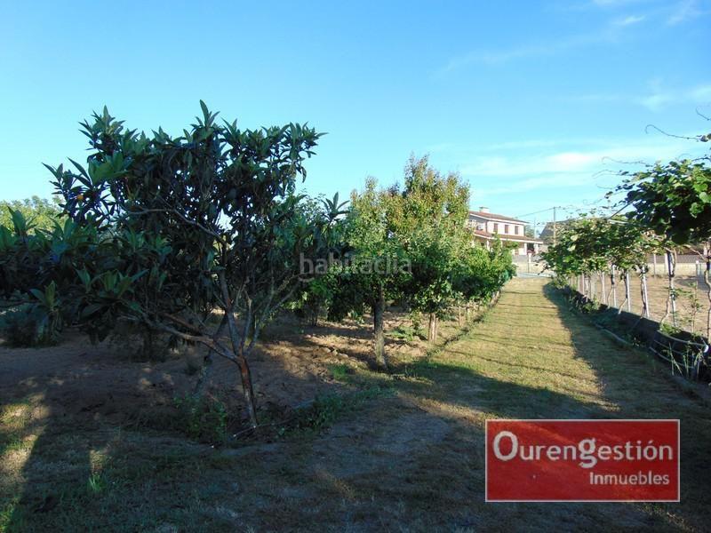 Foto ba8cb605-ecc1-4231-8ecd-c3aedb284360. Terreno residenziale in San Cibrao das Viñas