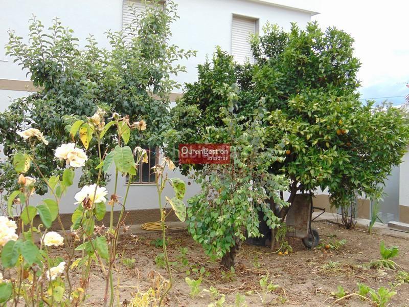 Foto 5f764f8d-dae4-4d94-9321-d6d0176f29a2. Alquiler piso  cuatro dormitorios proximo Universidad en Ourense
