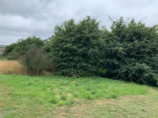 Terreny residencial a Carretera fixo. Solar edificable a pocos minutos de santago de compostela