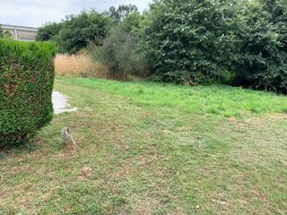 Wohngrundstück in Carretera FIXO