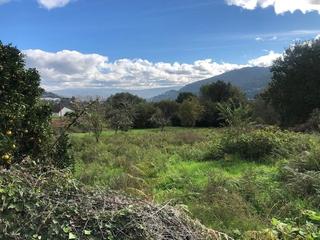 Terreny residencial a Cs pallota 1. Terreno edificable