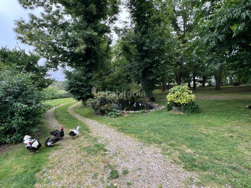 Foto 0e221d8e-a7f2-4e6b-bc1c-39dd3fefba69. Xalet a san paio 4 a Celanova