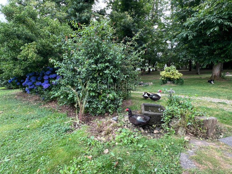 Foto c52e032e-bfff-4f91-b561-f1faa0a35f36. Xalet a san paio 4 a Celanova