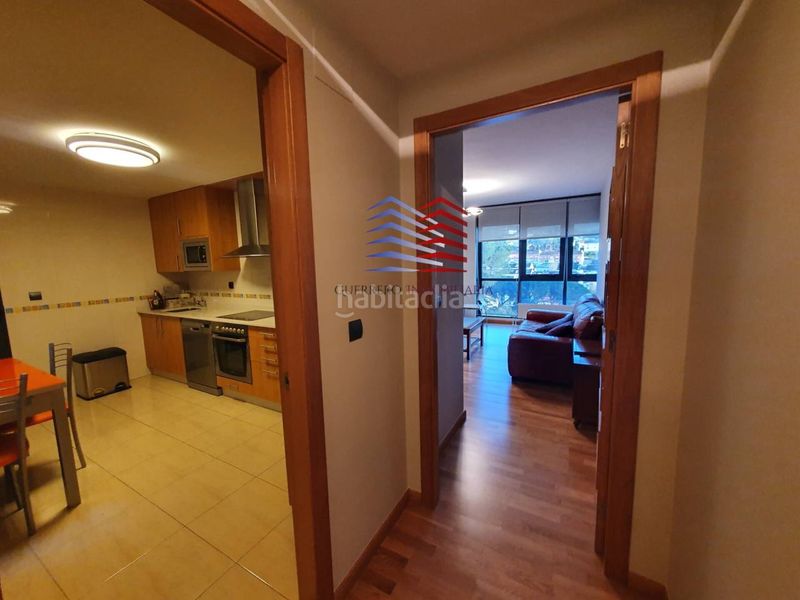 Foto 33ed3a21-5915-4d7e-8e41-ca893391cfca. Apartament amb calefacció aparcament a Barrocanes Ourense