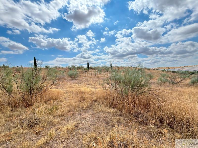 Foto 1806a412-c4fb-4f84-80c7-a250f71efdfd. Terreny residencial a Buenavista-Valparaíso-La Legua Toledo