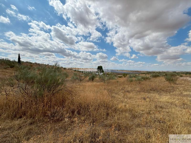 Foto 368d2b8f-a8ef-4ef1-8226-b8331e6dedff. Terreny residencial a Buenavista-Valparaíso-La Legua Toledo