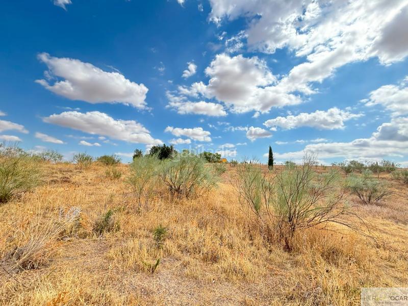 Foto 3970a046-ed28-4856-ab9b-032722558648. Terreny residencial a Buenavista-Valparaíso-La Legua Toledo