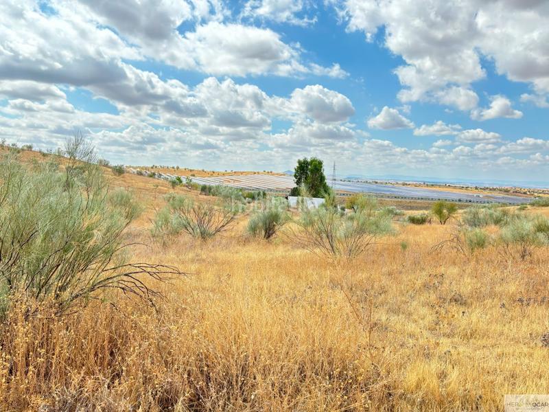 Foto 7095c351-d286-483a-84b8-e6a6d030cf63. Terreny residencial a Buenavista-Valparaíso-La Legua Toledo
