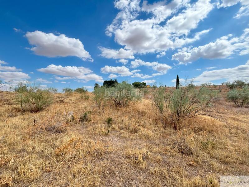 Foto 7f626f69-ca01-411d-87bb-32d159404415. Terreny residencial a Buenavista-Valparaíso-La Legua Toledo