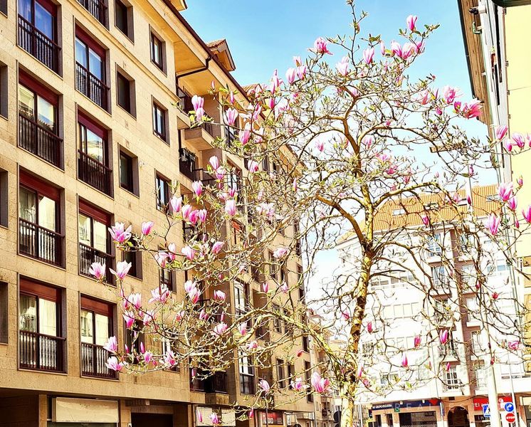 Foto ef8cb66f-2ed2-487d-a920-8e26952a1f68. Flat with heating parking in O Milladoiro Ames