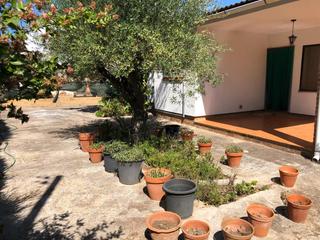 Chalet  Carrer santa adela. Casa unifamiliar con terreno en creixell