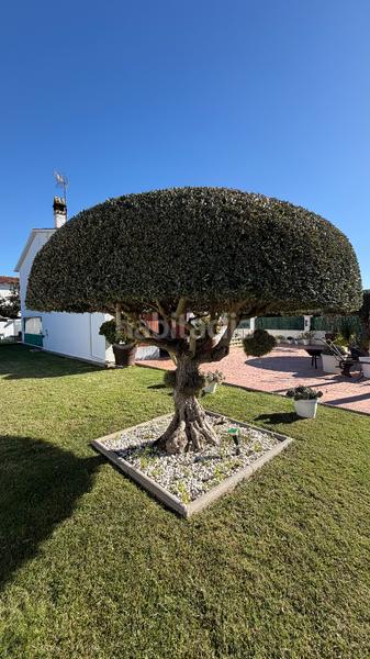 Foto 518594f0-66b4-49e6-a91a-dee0beafba88. Xalet amb xemeneia a Creixell