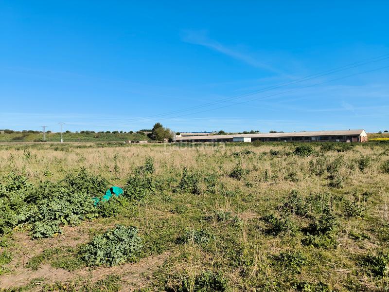 Foto 06180081-250e-41b3-8fe2-65a5e92c8be2. Area edificabile industriale in Marchamalo