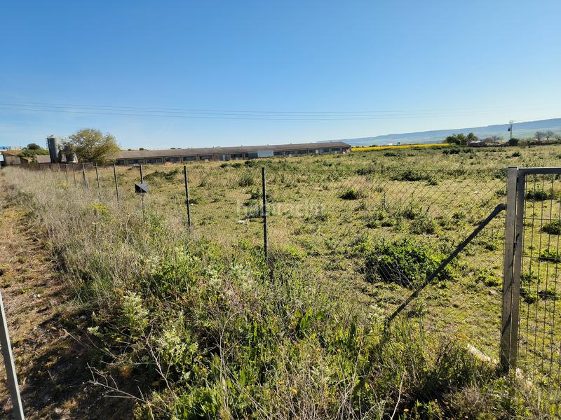 Foto 65a73c59-5a49-4366-9778-6d798eb43e20. Area edificabile industriale in Marchamalo