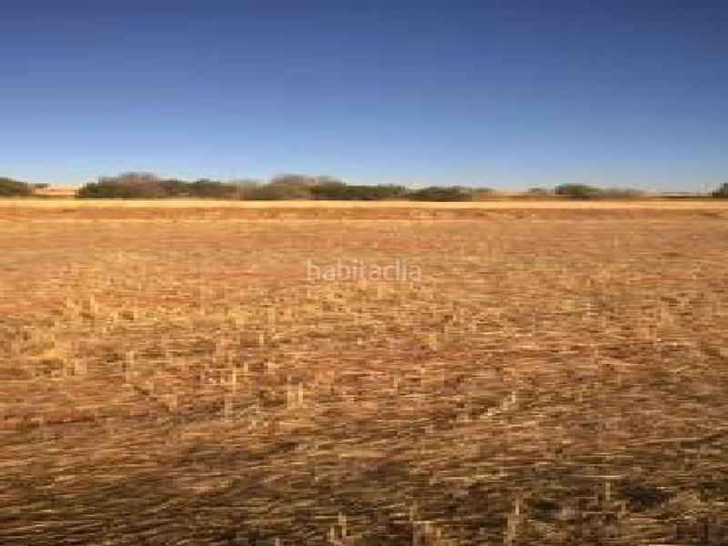 Foto 78c86b51-cf9b-4d3d-a2d7-05921bb4a211. Propriété dans Área Rual - Valverde - Las Casas Ciudad Real