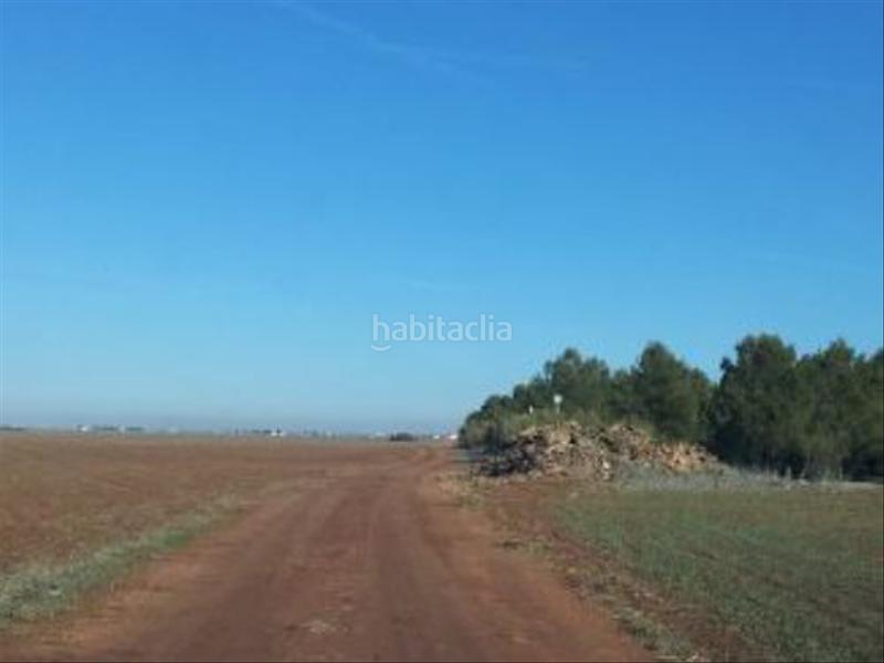 Foto 706a4da0-ccda-45fd-a11f-d709453bcce5. Terreno residencial suelo no urbanizable, tipo de explotación secano en Tomelloso