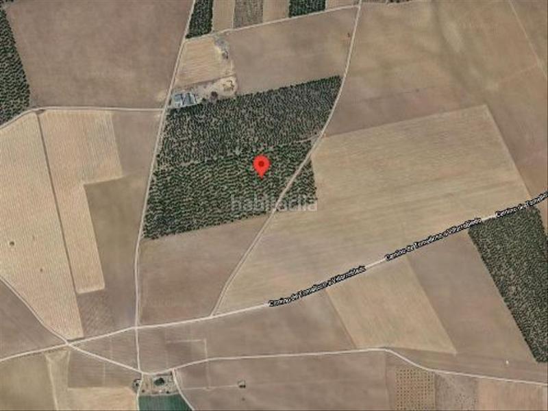 Foto 7bd0eb65-afed-4dc5-be94-b10ba560cac3. Terreno residencial suelo no urbanizable, tipo de explotación secano en Tomelloso