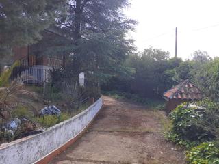 Mas  Avenida yedra. Casa de campo en la tabla de la yedra