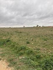 Propriété  Calle ciudad real. Finca rústica con una superficie gráfica de 30.234 m2.
