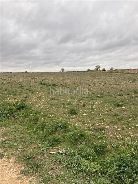 Foto cbb3f0a4-a647-459b-81f0-3eee25d06f62. Finca rústica a Campo de Criptana