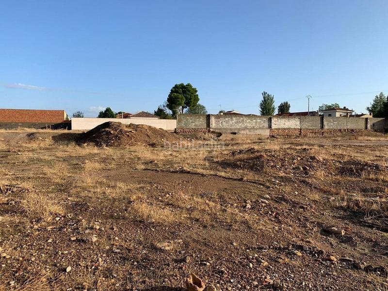 Foto 59216d4d-4a72-4a73-9ff2-e3245a04fd37. Terrain résidentiel dans Argamasilla de Alba