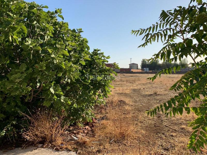 Foto 5a364937-e1db-4024-b4c3-c478dfc32e6e. Terrain résidentiel dans Argamasilla de Alba