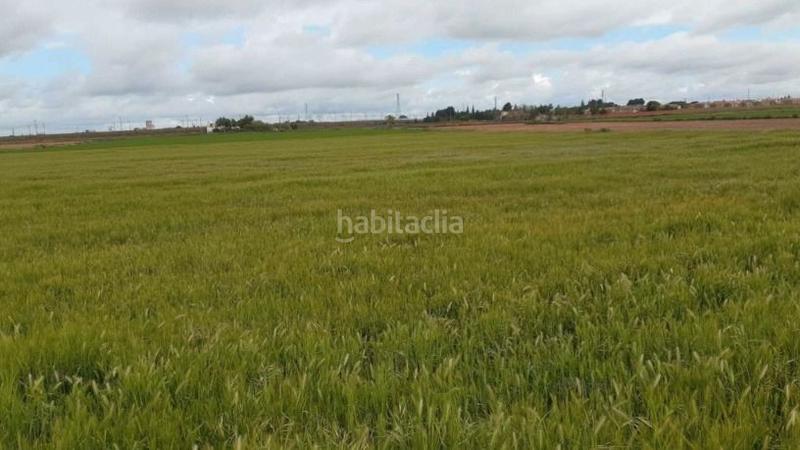 Foto 7081b326-03ae-4d96-af4d-44ac757af031. Propriété dans Miguelturra