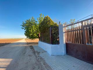 Chalet  Carretera pedro muñoz. Chalet en pinilla