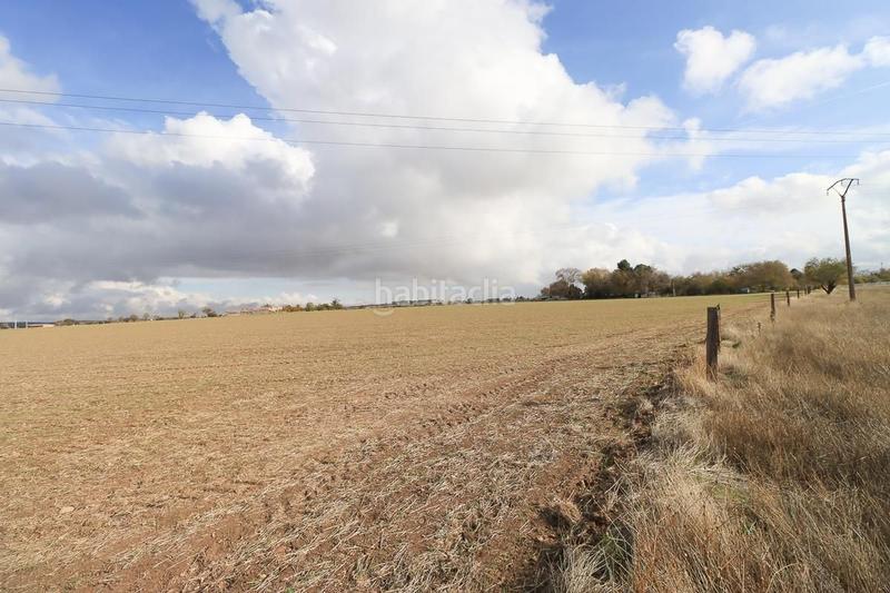 Foto 8c94f1f5-2cf8-43da-9697-59683ab3242e. Terreny residencial a Centro - Plaza Mayor Ciudad Real