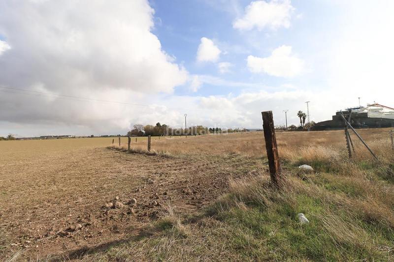 Foto bd3d377b-f5d8-4c9b-ad7e-8fe3de00e43c. Terreny residencial a Centro - Plaza Mayor Ciudad Real